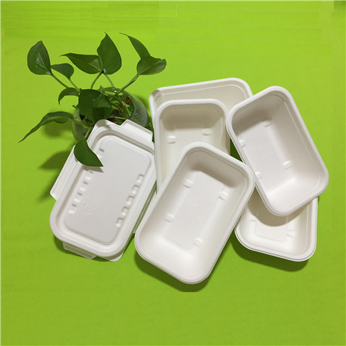 bagasse-astioiden edut