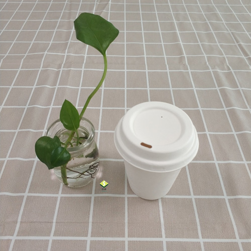 biohajoava sokeriruokomassa kuppi ja kansi