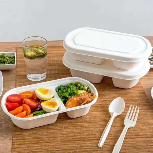 sokeriruoko bagasse tuotteet