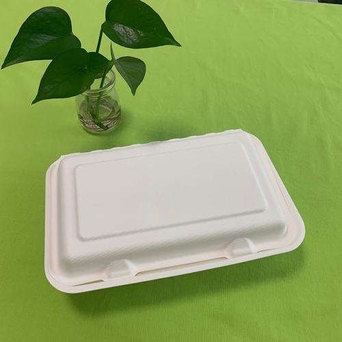 uusi bagasse-ruokasäiliö