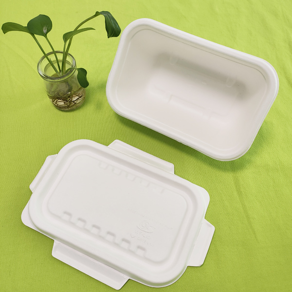 Shenglin Packagingin ulkomaankauppaosasto järjesti tiedonvaihtokonferenssin bagasse-astioista