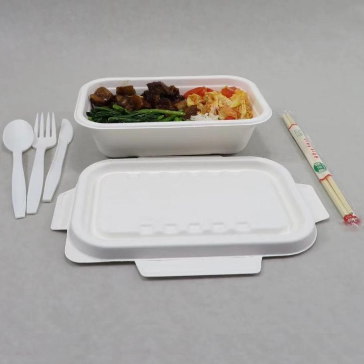 Shenglin Packagingin Bagasse-pöytäastioiden jakokonferenssi