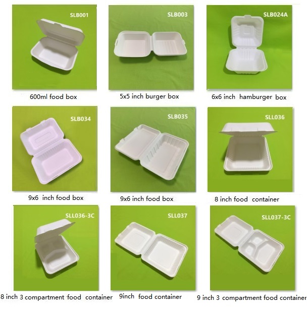 Eco bagasse -paperista valmistetut simpukkalaatikot