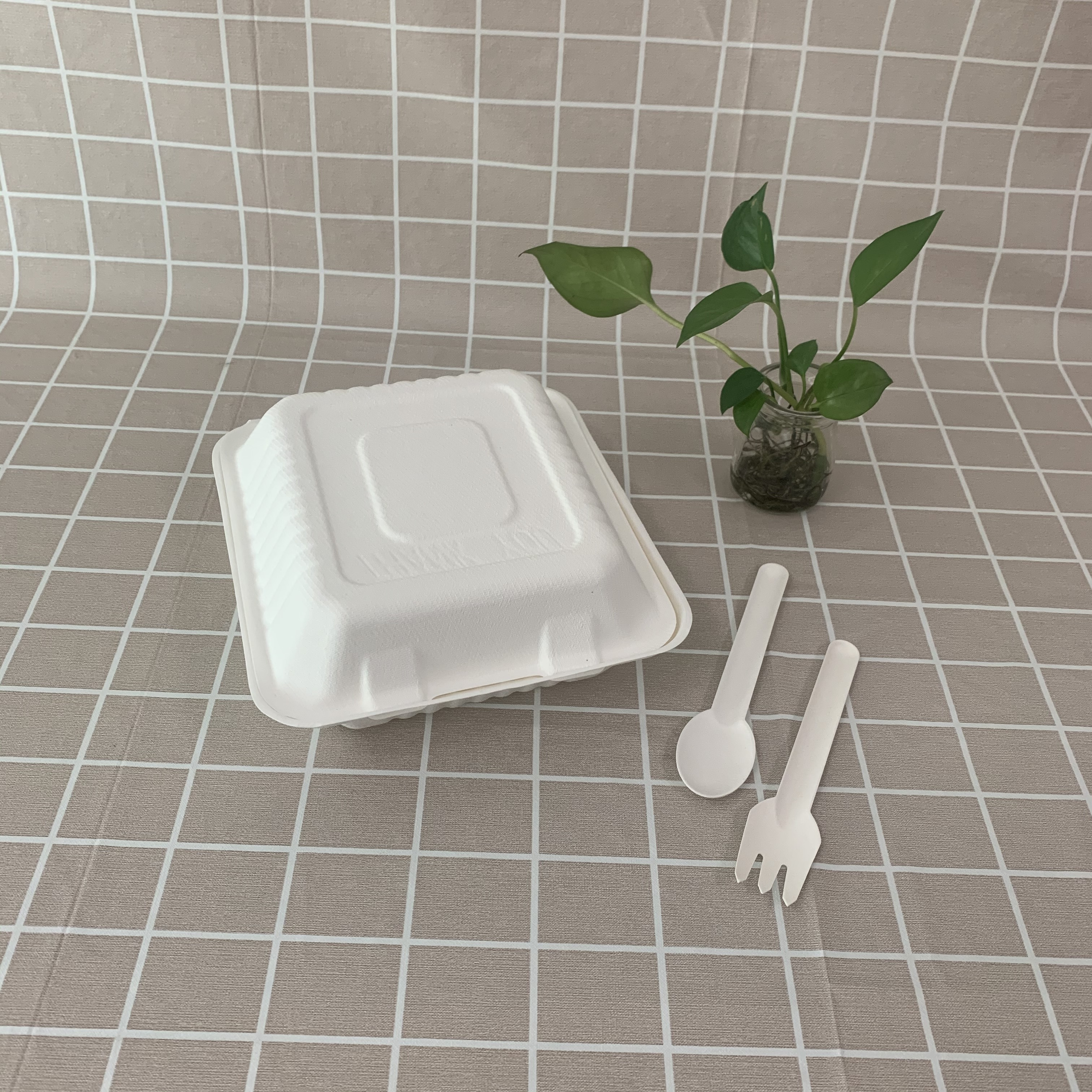 Eco bagasse -ruokapakkausten lastaus